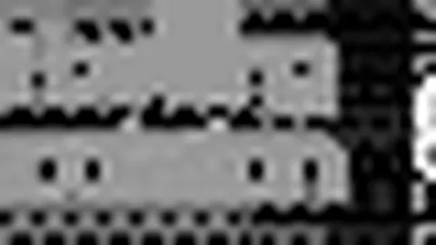 激情凝聚，海港荣耀再续：团结铸就辉煌，三冠王传奇诞生！